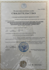 Свид-во налоговая